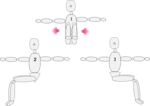 正面