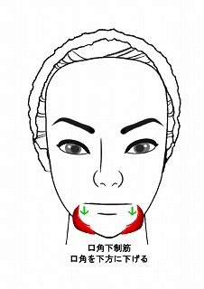 フェイスラインと小顔